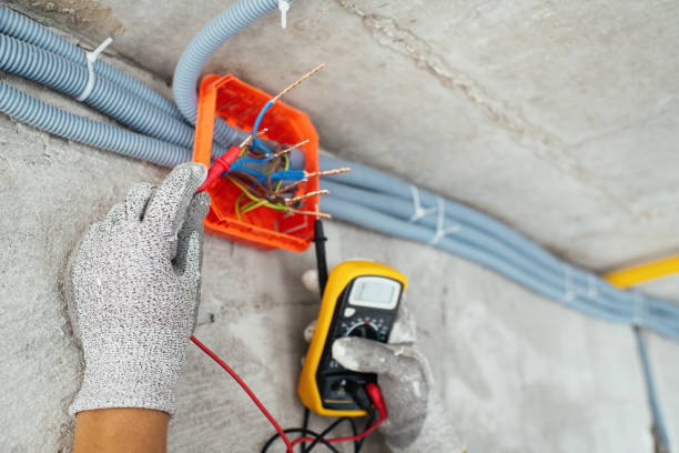 Best Electric Panel Repair  in Bloomingdale, IL